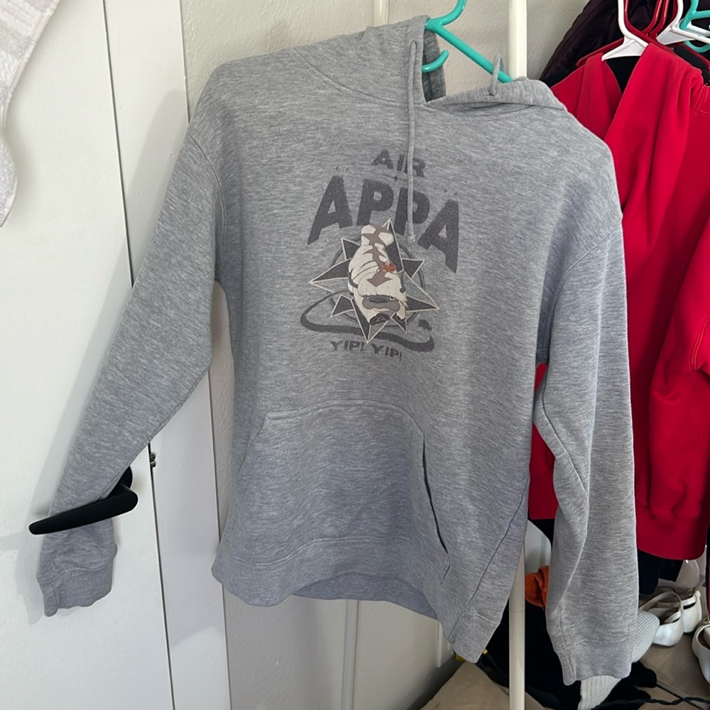 Gray “Air Appa” hoodie from BoxLunch! Only worn once!